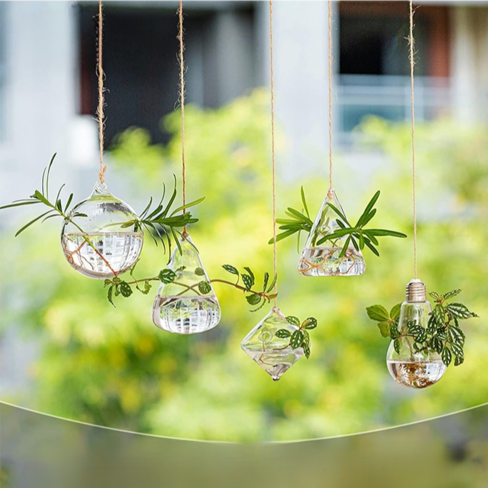 Idée de décoration avec récipient suspendu et plantes vertes