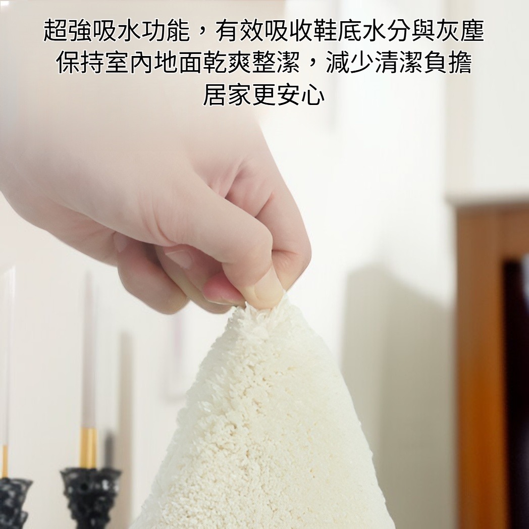 入戶耐磨吸水地毯