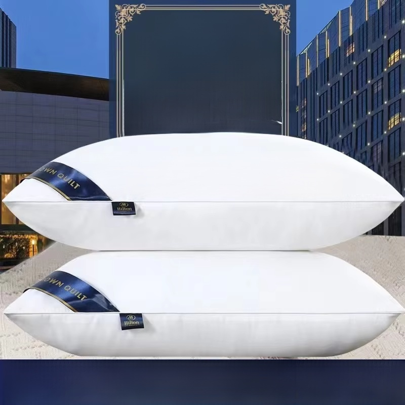  Luxury Hilton-Style Pillow Pair for Home & Guesthouse - Wholesale Gift Set