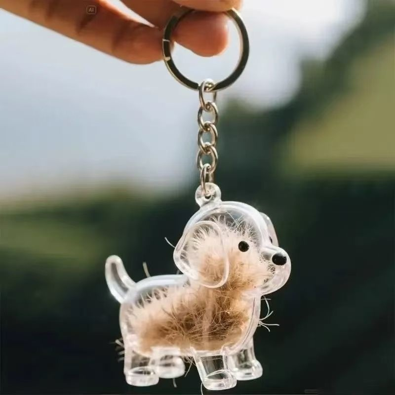 Porte-clés avec pendentif chien, boîte transparente pour poils d'animaux