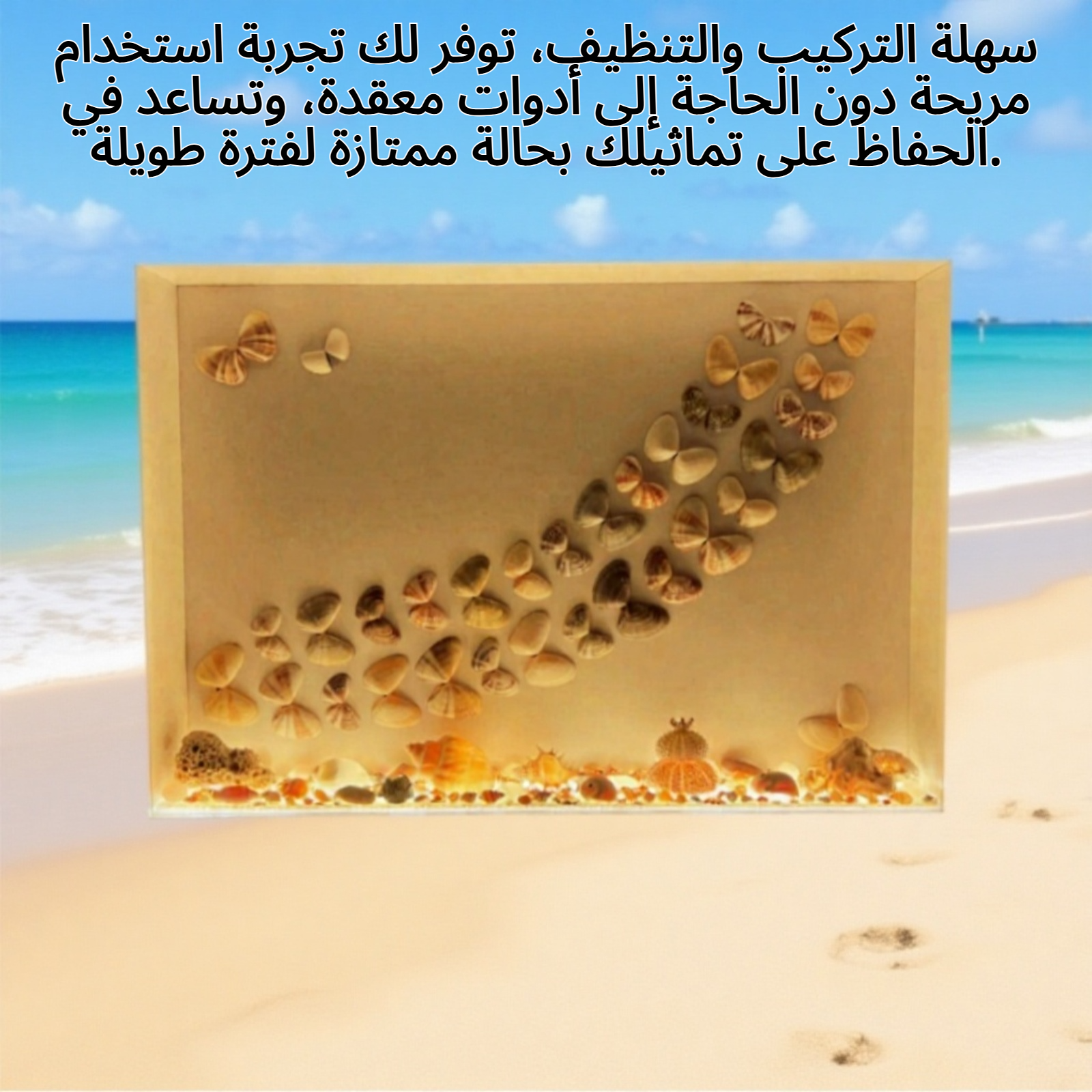 علبة عرض التماثيل الشفافة بتصميم أنيق