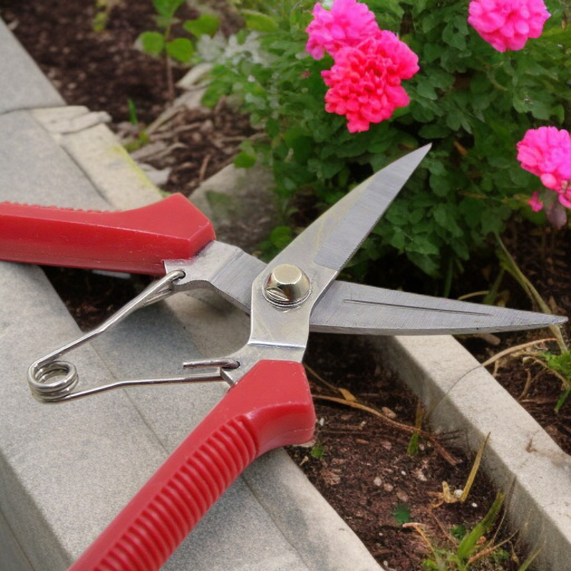 두꺼운 가지치기 가위 원예가위 스트레이트 묽은 과일가위 과일채취 가지치기 도구