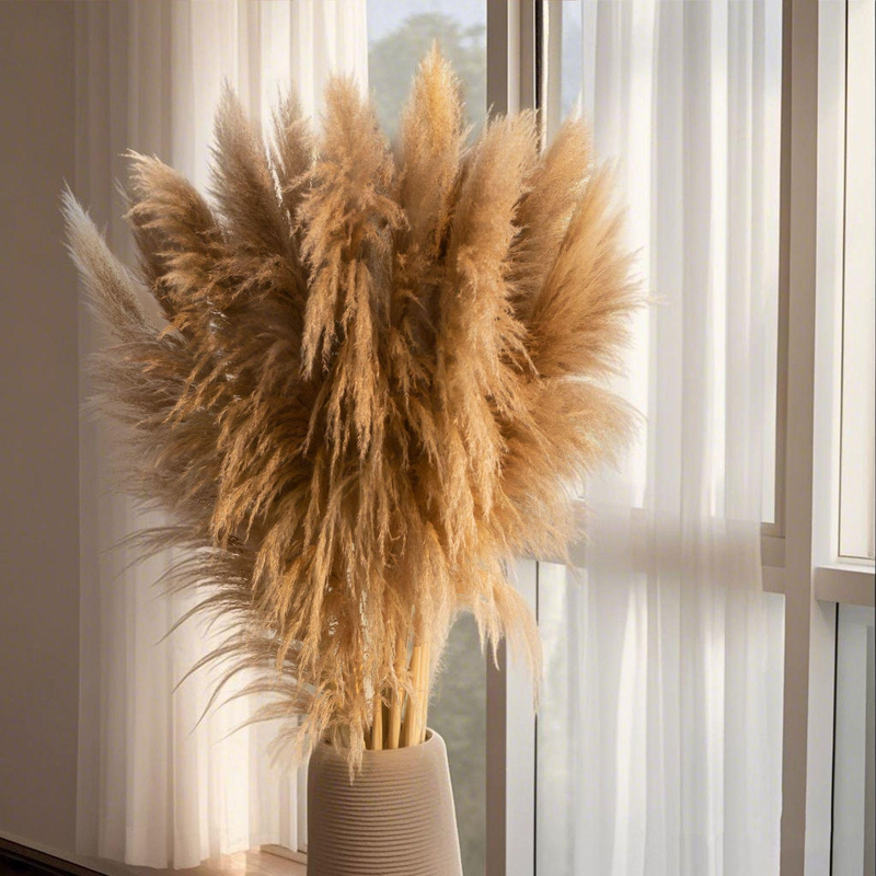 Big Reed True Flower Dried Flower Decoration