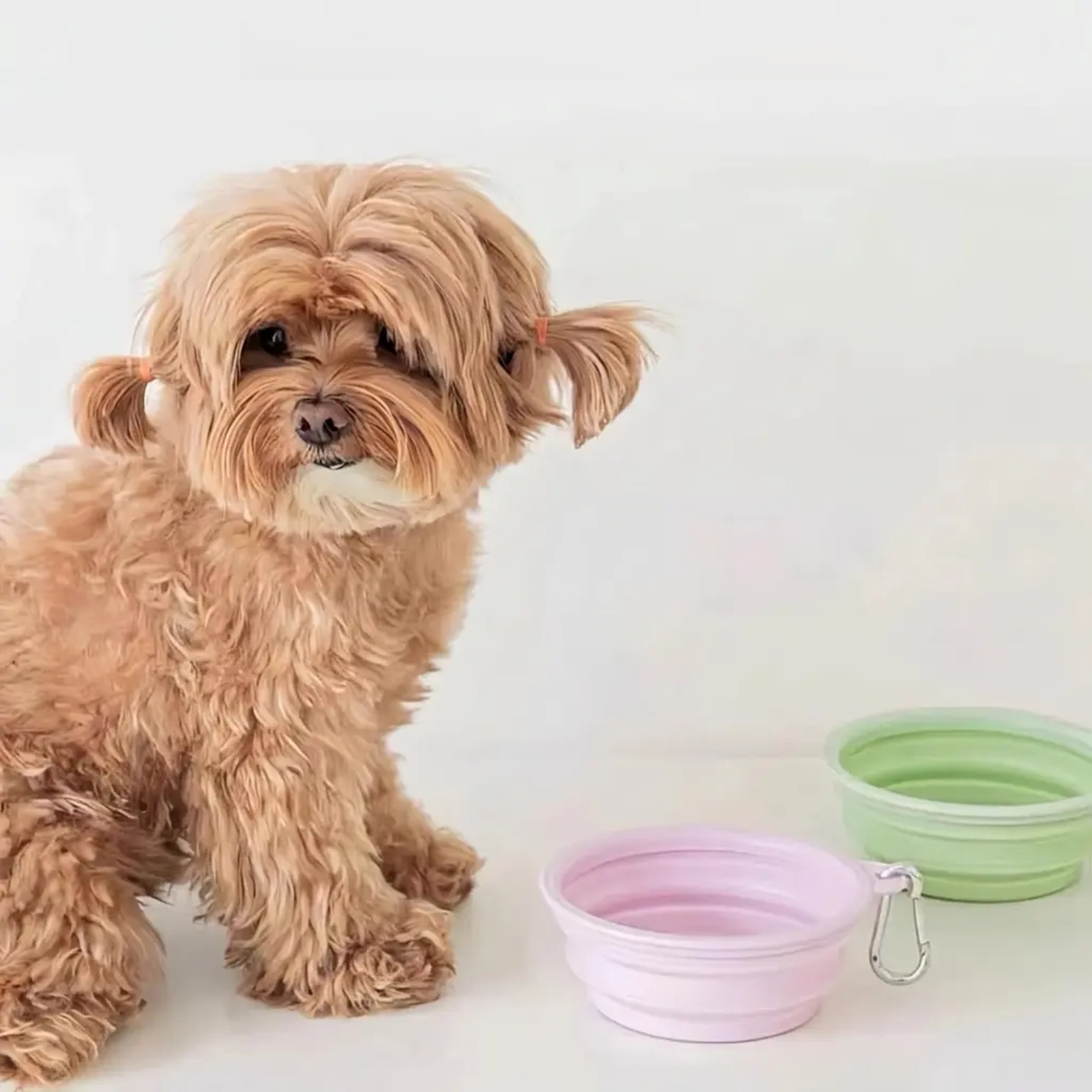 持ち運び可能な折りたたみ式猫・犬用ボウル