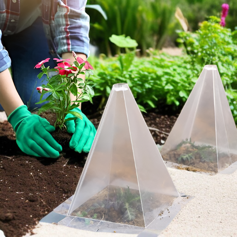 鳥や霜害から植物を保護するための植物コーングリーンベルカバーガーデン苗カバー