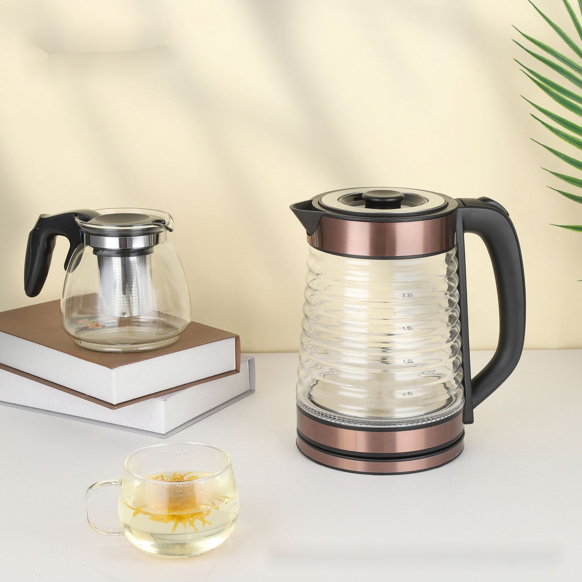 Temperaturregulierbarer Wasserkocher