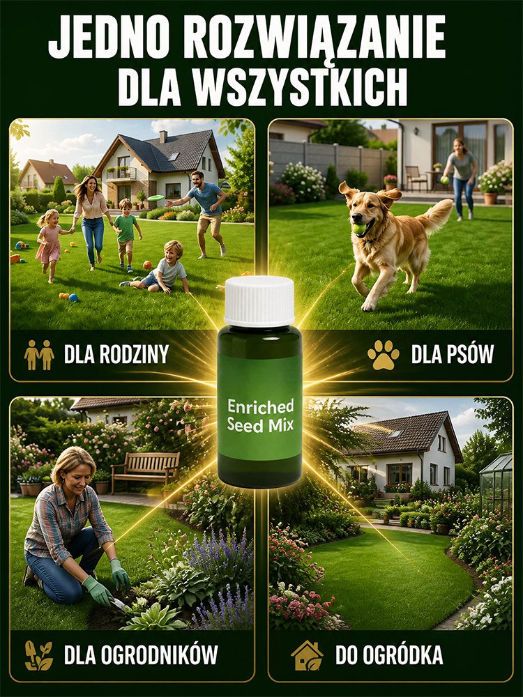 Nowozelandzka, wysokiej jakości odmiana. Kiełkuje w 7 dni!  Nie wymaga koszenia