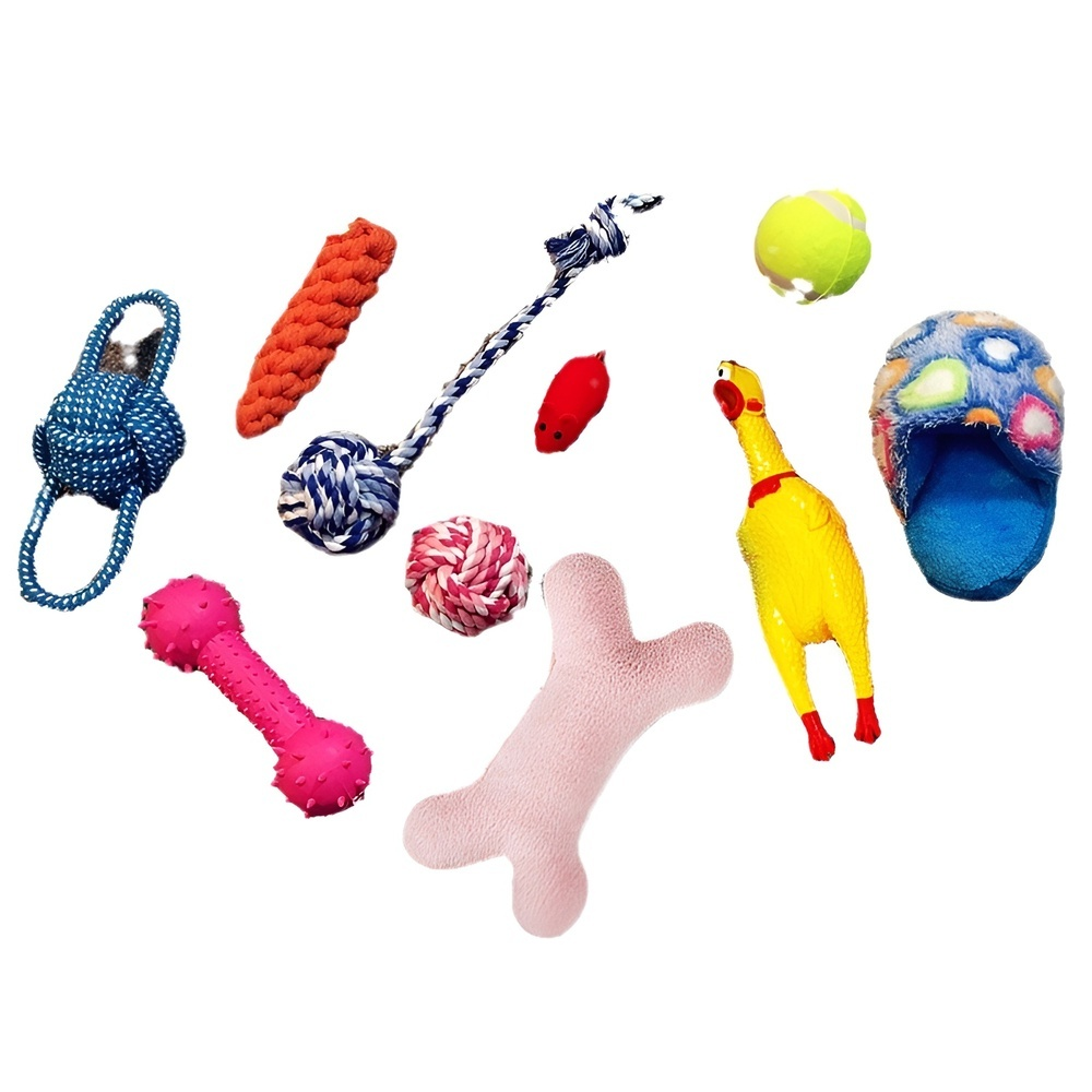 Pet toy dog   set, dog training toy, Teddy Golden Retriever