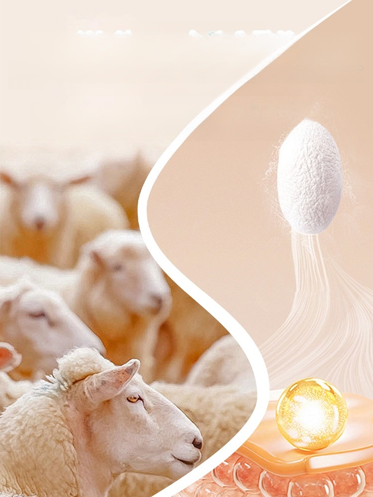 양모 베이직 후드 니트 셔츠