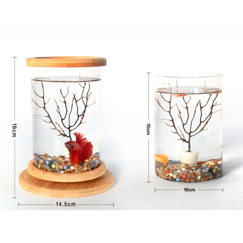 Drehbares Mini-Aquarium