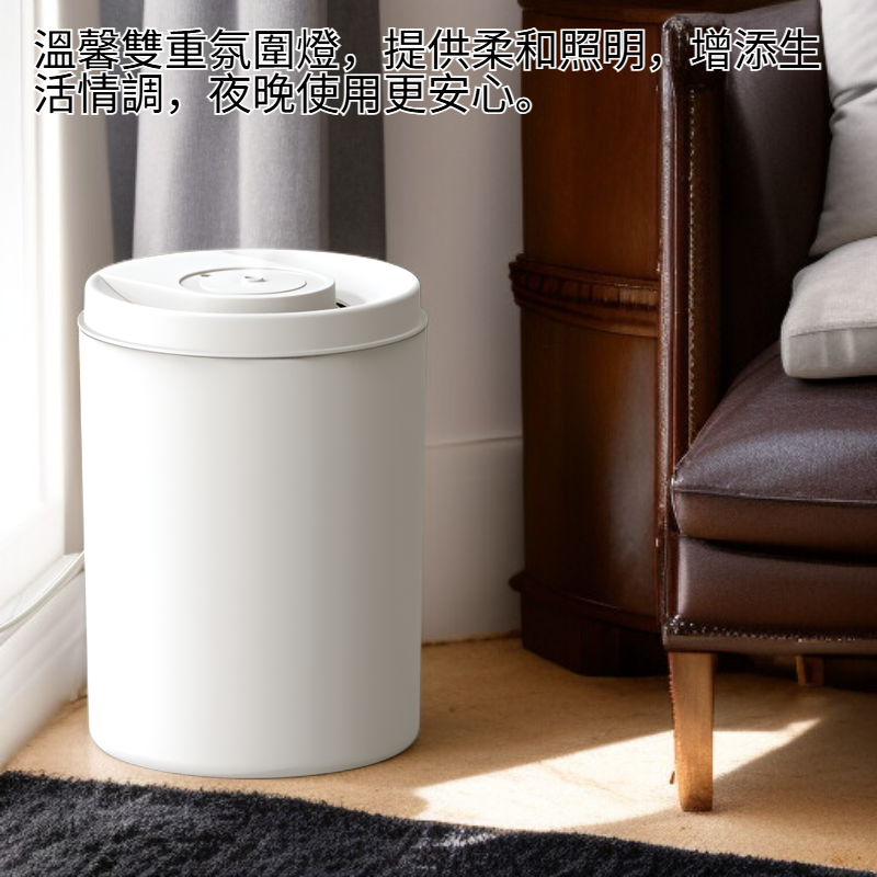 大容量靜音桌上型加濕器 雙模式氛圍燈