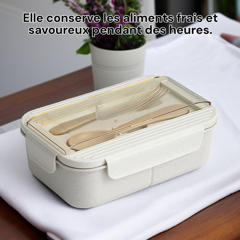 Boîte à déjeuner pour le midi