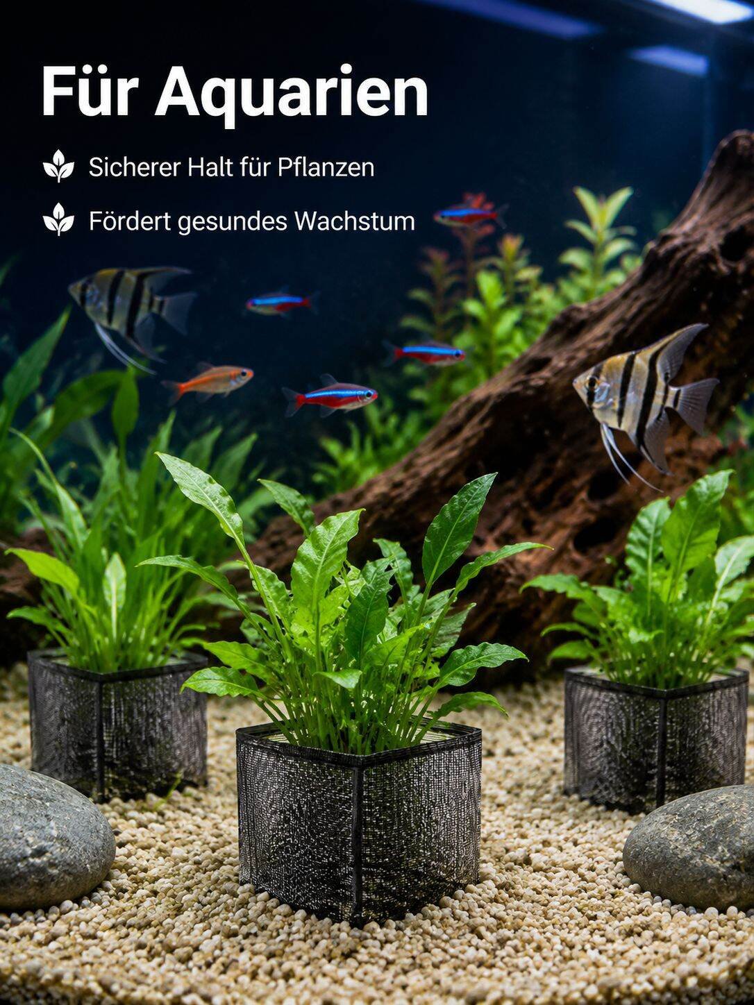 lp-detail-12-场景图7-室内水族箱应用.jpg