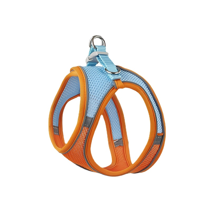 Laisse pour petits et moyens chiens