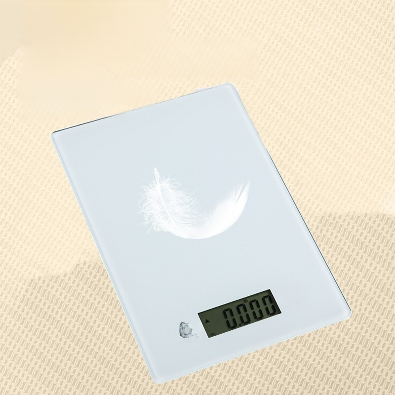 High Precision Electronic Scale