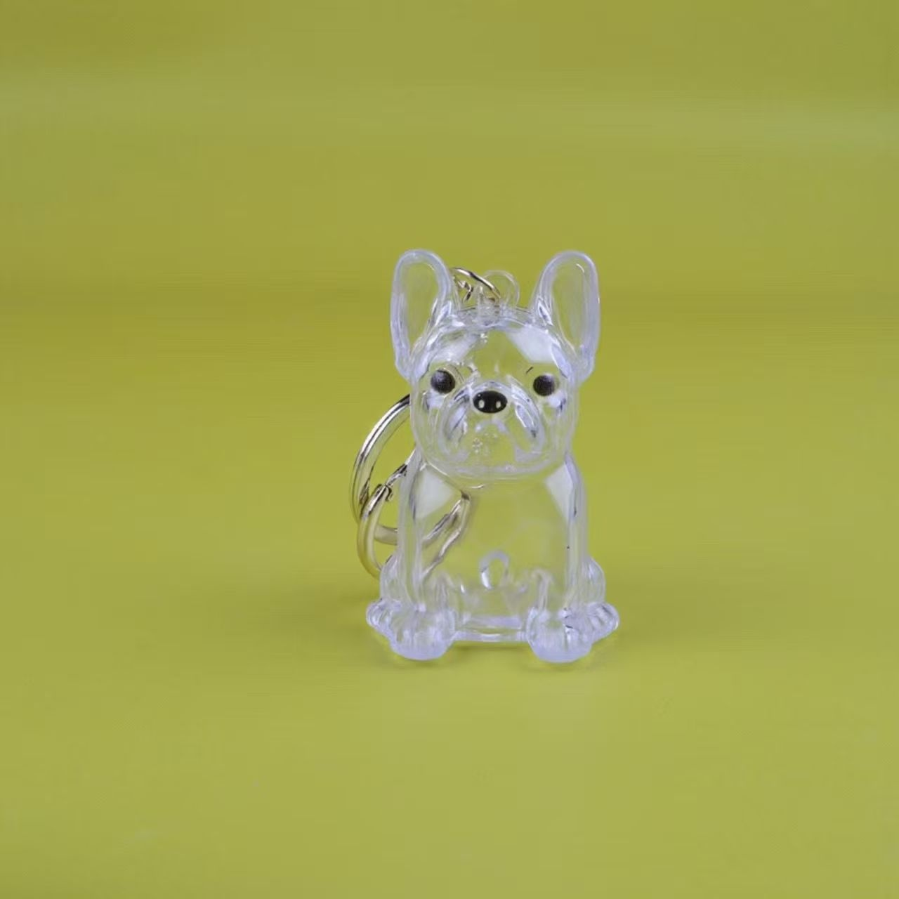 Porte-clés avec pendentif chien, boîte transparente pour poils d'animaux