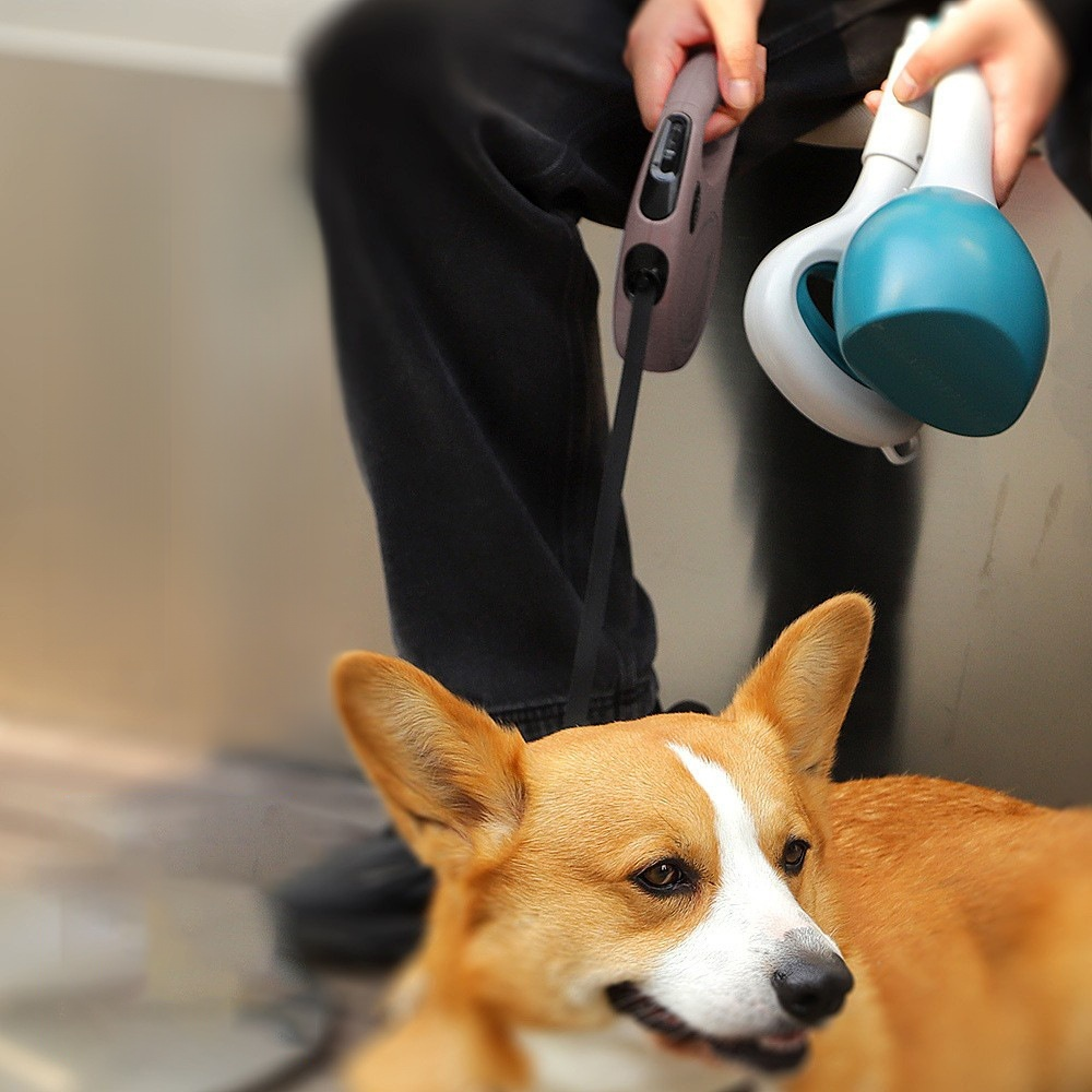 Portable pet poop removal tool