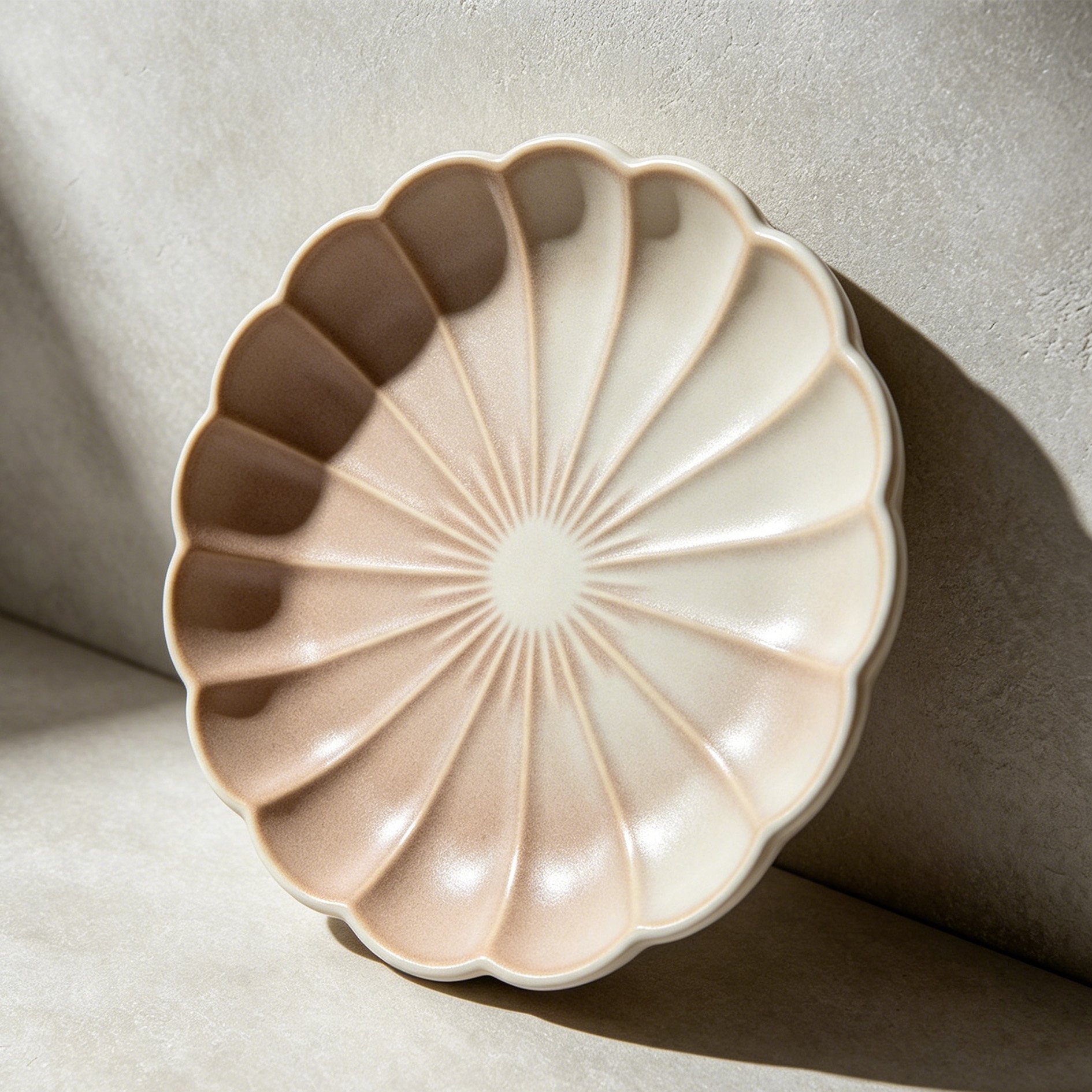 Ceramic Dinner Plates Set of 4