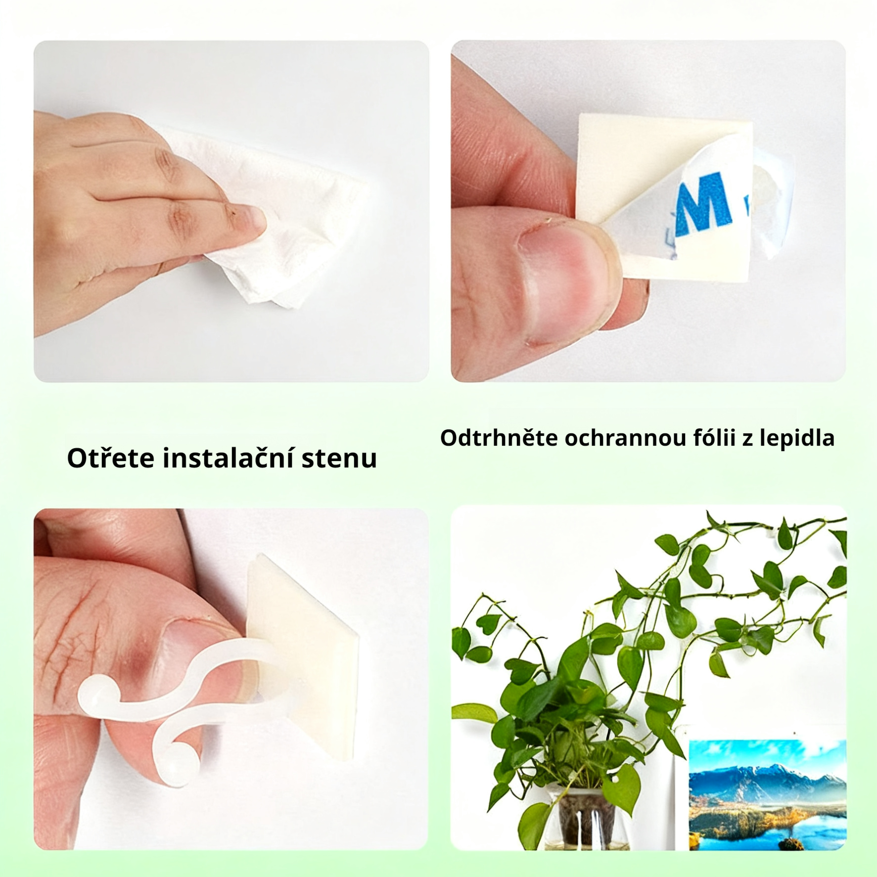 Držák na upevnění popínavých rostlin na zeď