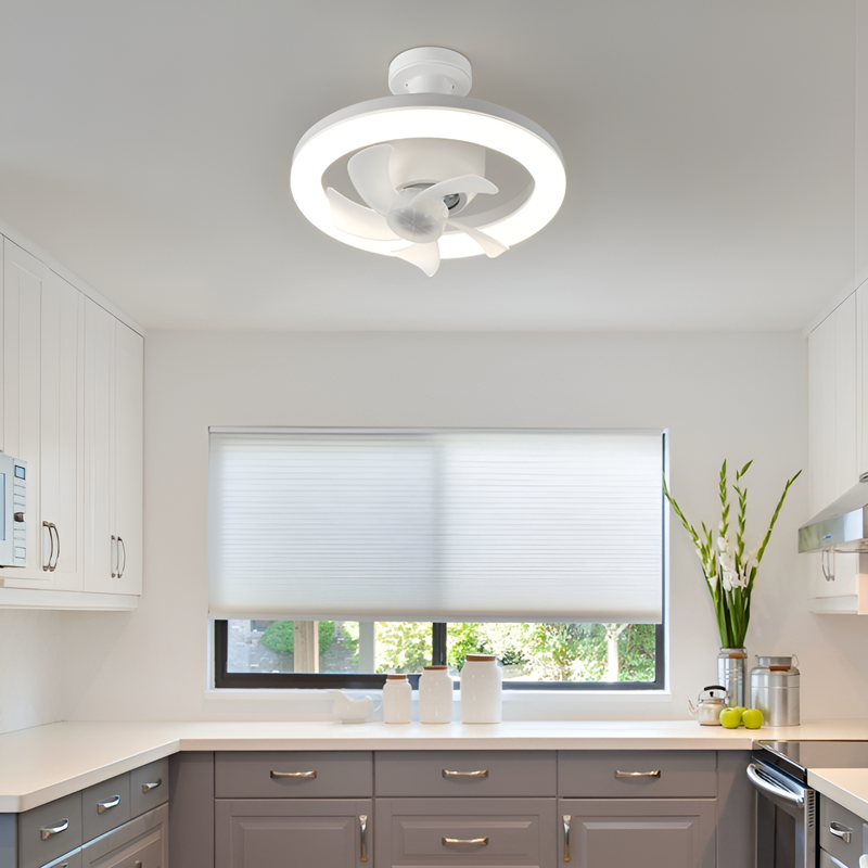 Multifunctional remote control ceiling fan light