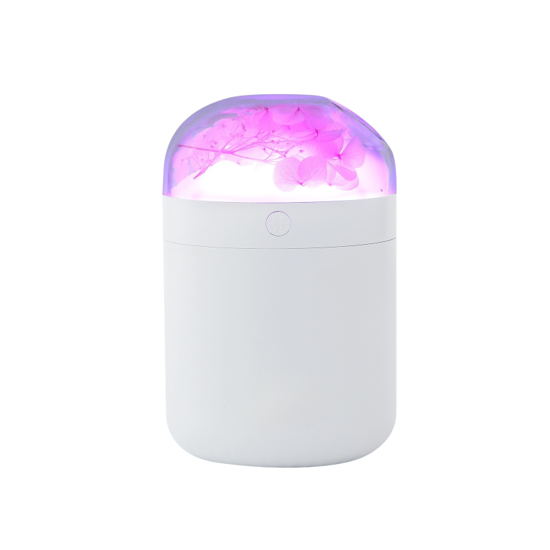 Humidificador portátil de flor eterna, colorido y compacto, para espacios interiores