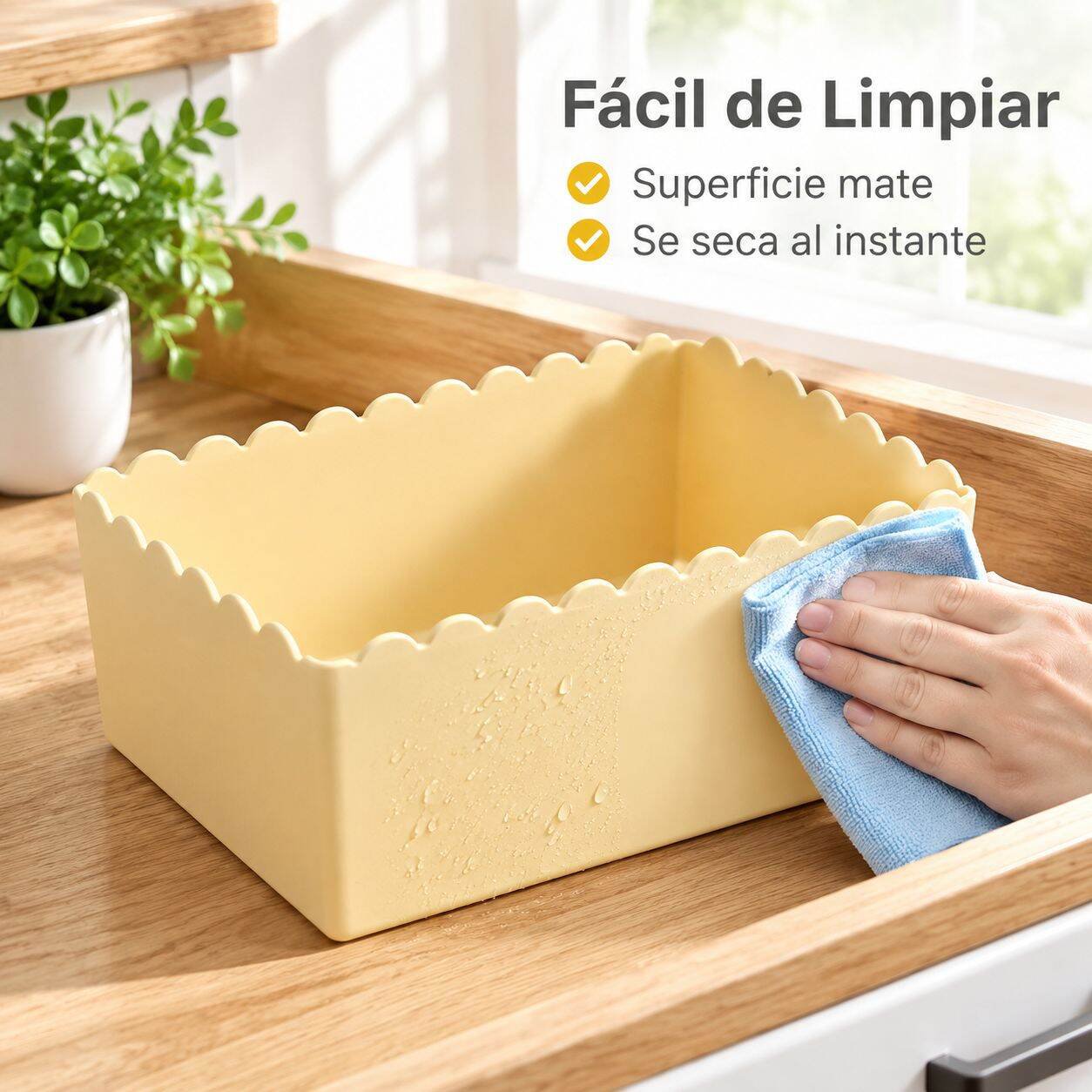 Estructura interna de la caja organizadora