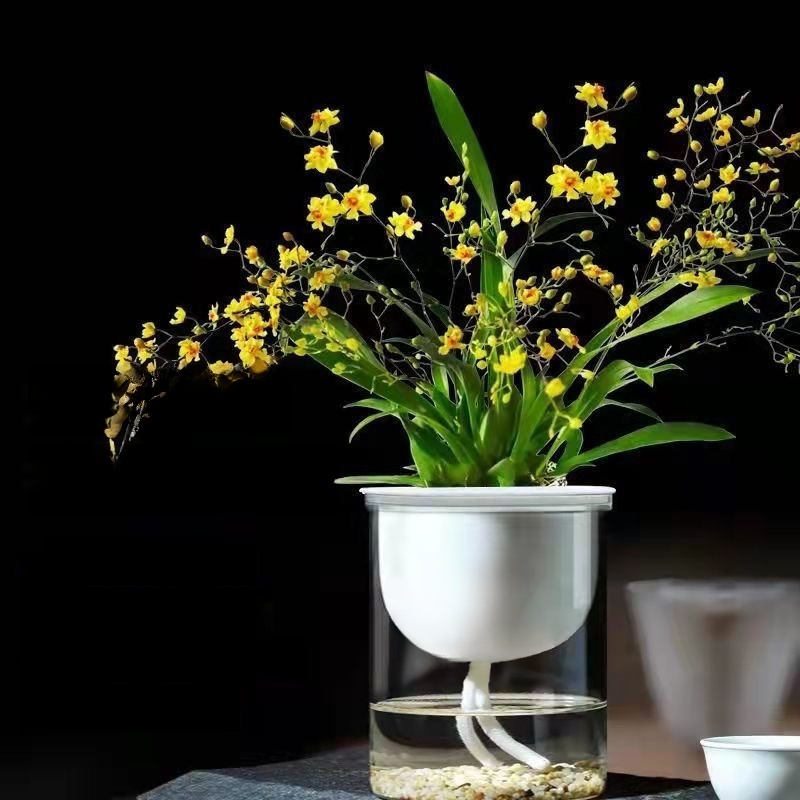 Green plants and fragrant potted flowers