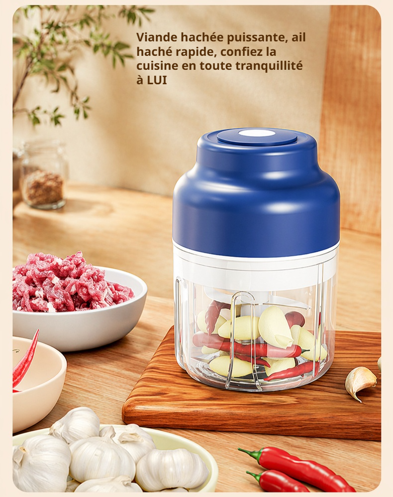 Hachoir portable rechargeable pour ail et épices