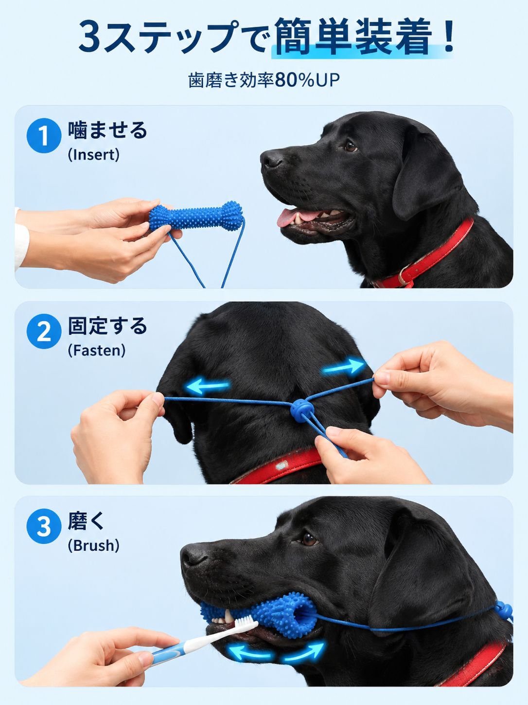 【獣医師監修】もう噛まれない！安全ハミガキサポーター（噛みつき防止・お留守番ストレス解消・55g軽量安全PVC）