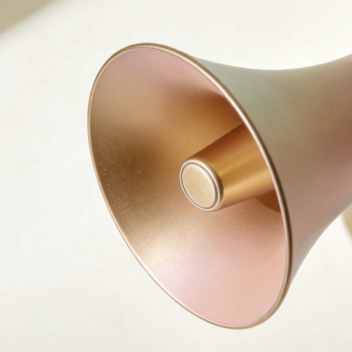 Megáfono inalámbrico de mano vista frontal