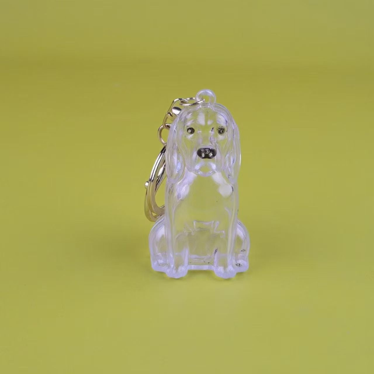 Porte-clés avec pendentif chien, boîte transparente pour poils d'animaux