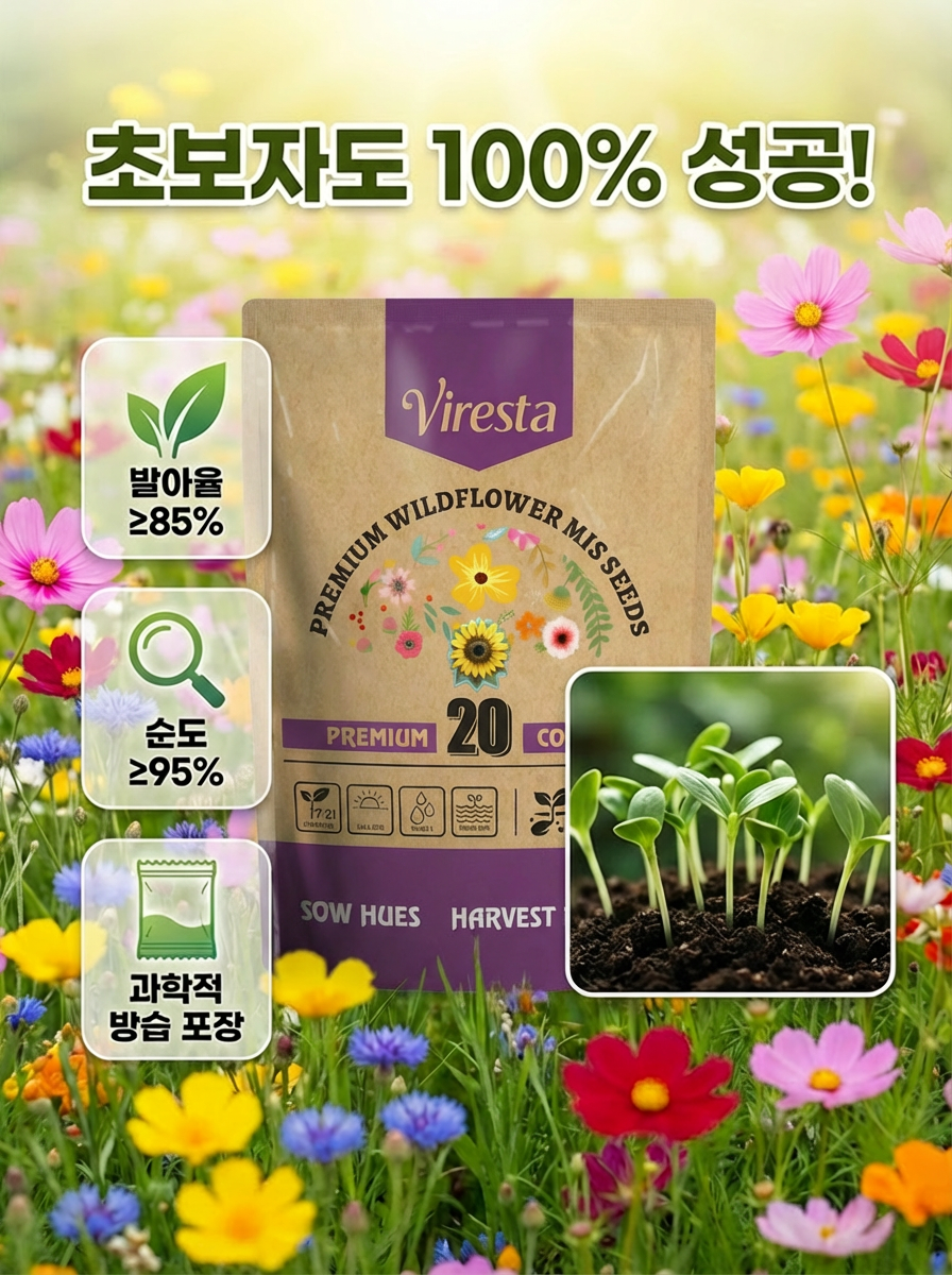 사계절 개화 혼합 색상 꽃씨, 연중 피어나는 꽃, 시들지 않아요