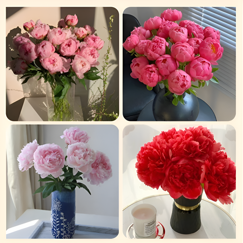 Fresh peony seeds
