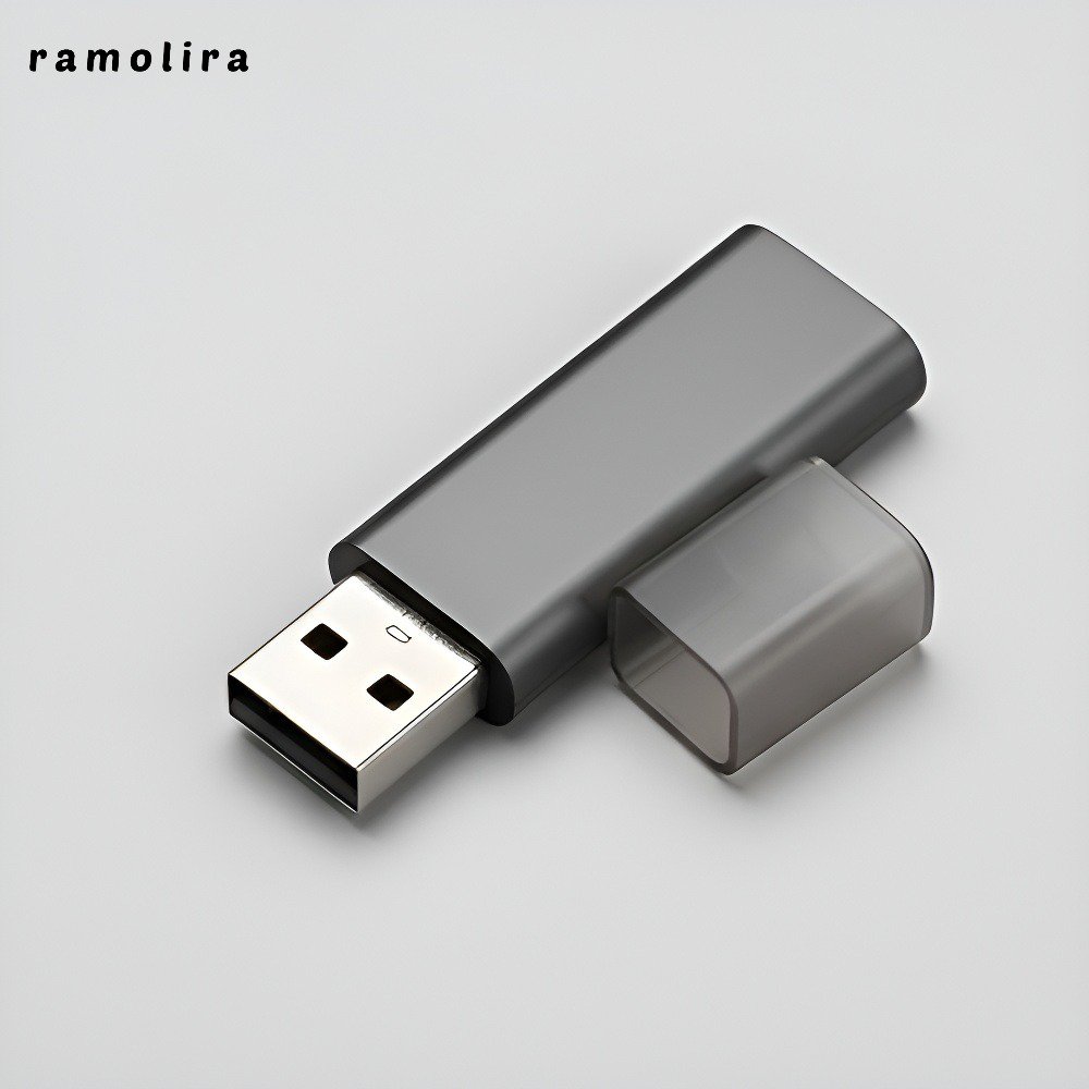 USB 플래시 드라이브 Type C 듀얼 인터페이스 대용량 모바일 폰 컴퓨터 듀얼 사용 512G