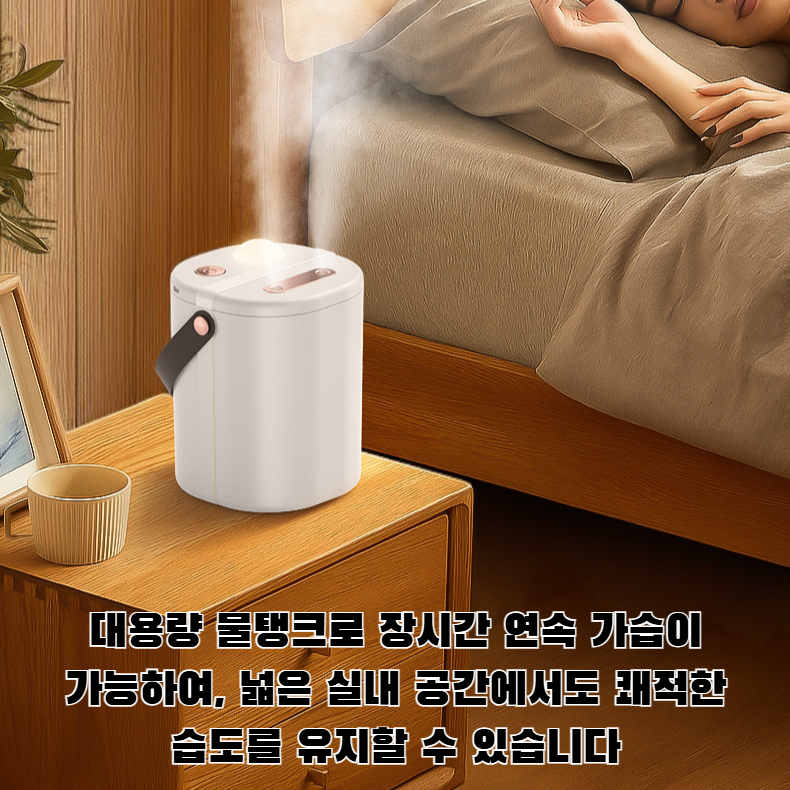 듀얼젯 대용량 실내 가습기