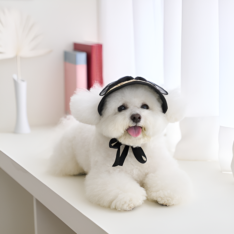 犬や猫に適した麦わら編みの豚鼻帽子