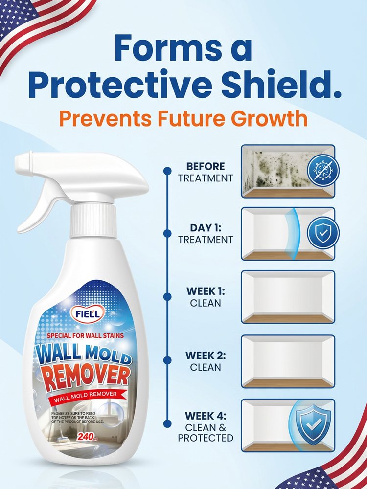 1 Second Wall Mold Removal