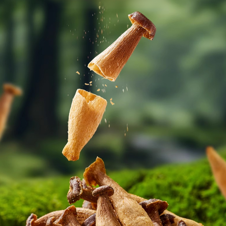 0-b226c8be87d48984ffc1a4cf54e31140.png