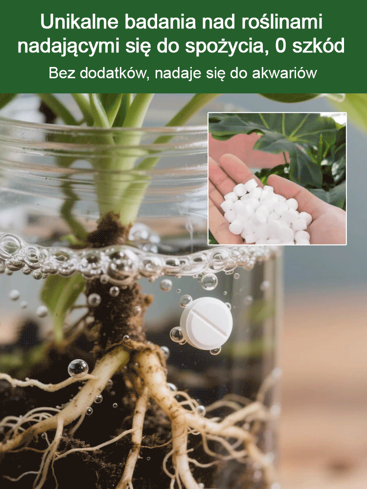 Specjalne tabletki odżywcze do hydroponicznych roślin oczyszczających