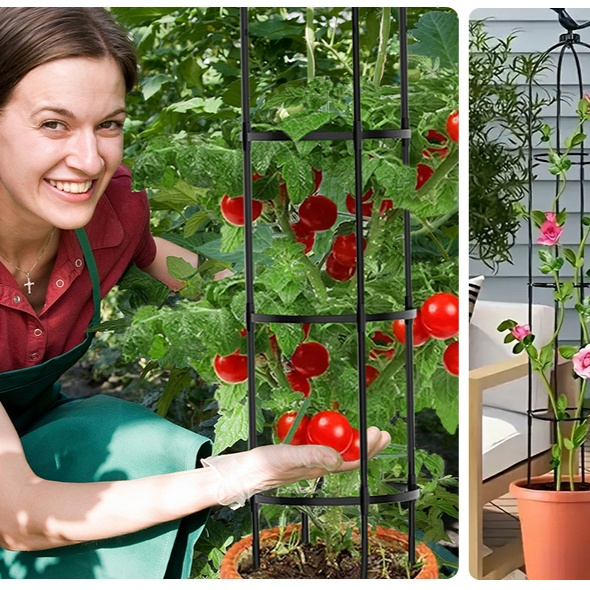 European Style Garden Trellis