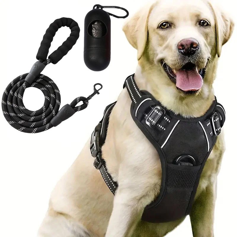 สายจูงสุนัขสำหรับปลอกคอ