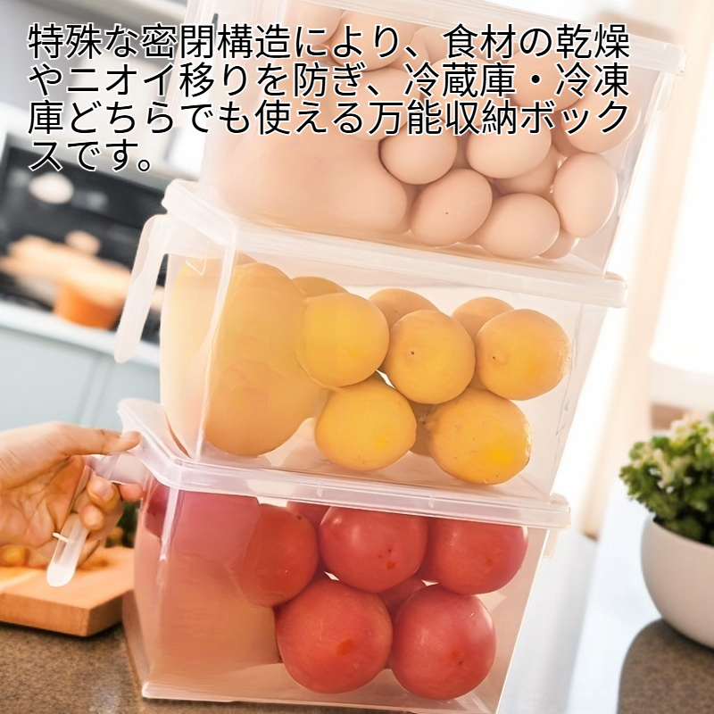 家庭用冷凍収納容器