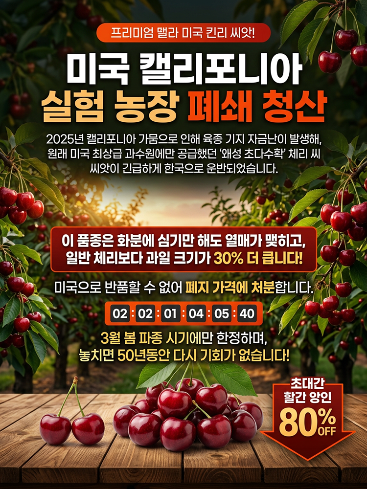 100% 생존 체리 묘목