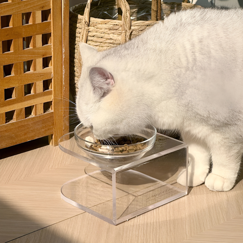 転倒防止機能付き猫用フードボウルとウォーターボウルセット