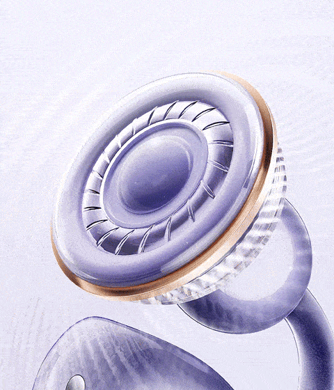 O1CN01FXAejZ2MFXm4JGq3F_!!2220977629798-1-scmitem176000.gif