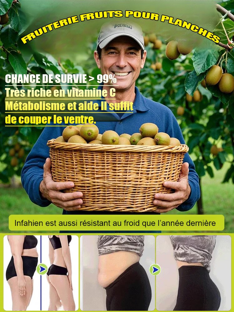 【Augmenter la puissance masculine】Plantules de kiwi biologique de Nouvelle-Zélande