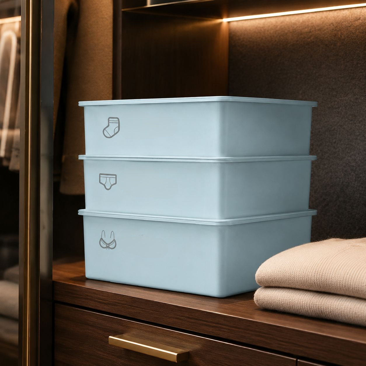 Caja organizadora con divisiones para ropa interior, esencial para el hogar