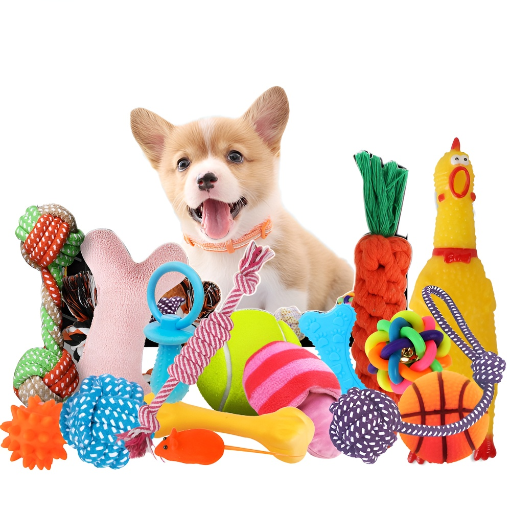 Pet toy dog   set, dog training toy, Teddy Golden Retriever
