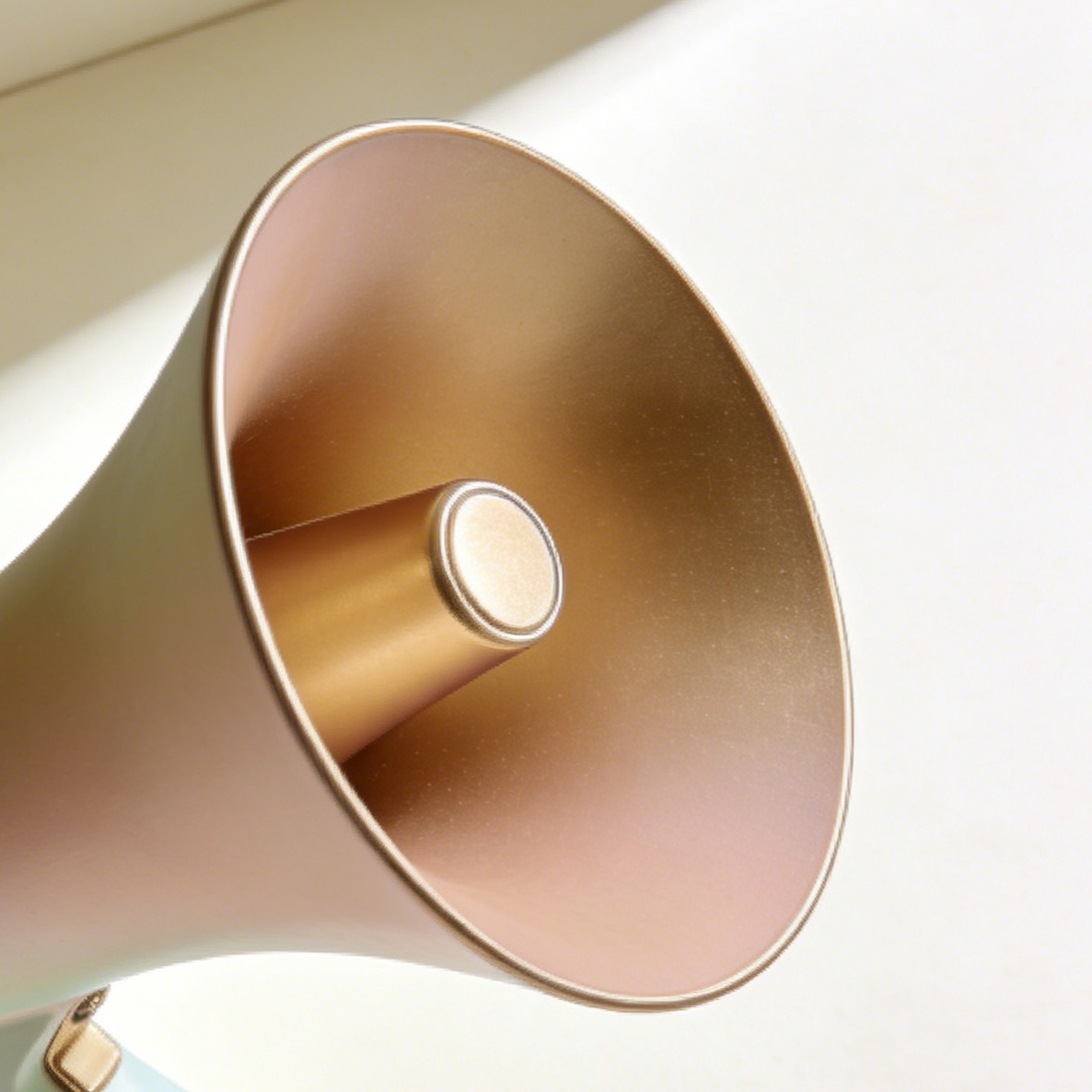 Megáfono inalámbrico de mano