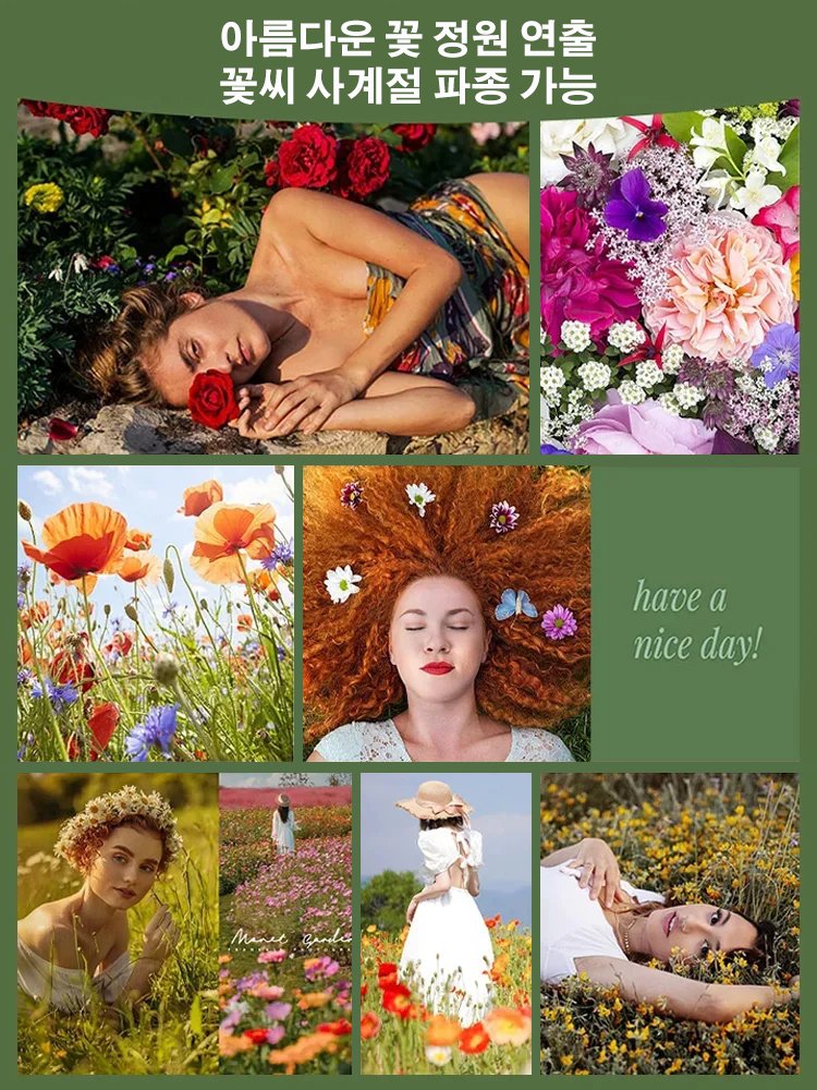 사계절 개화 혼합 색상 꽃씨, 연중 피어나는 꽃, 시들지 않아요!